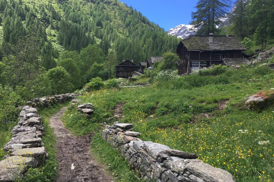 De la Val Vogna ensoleillée au lac de la Peccia