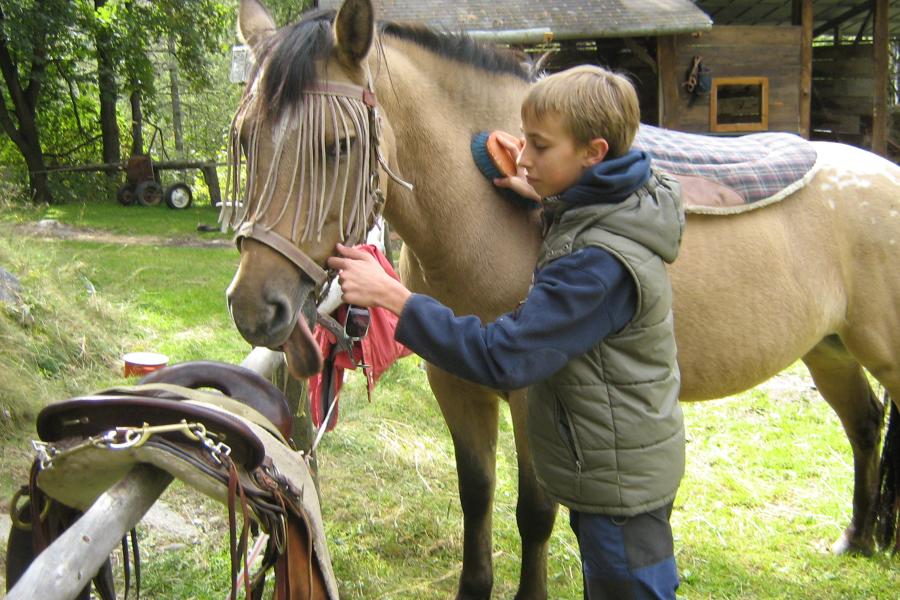 MANÈGE BRUSSON LES GUILLATES