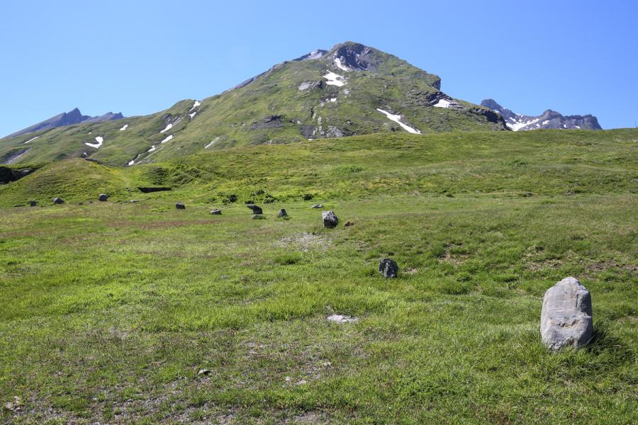 Solstice d'été au Cromlech du Petit Saint Bernard