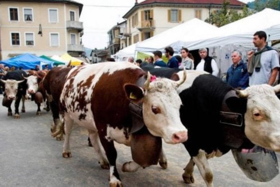 ANNULLATO - Fiera del Bestiame a Periasc