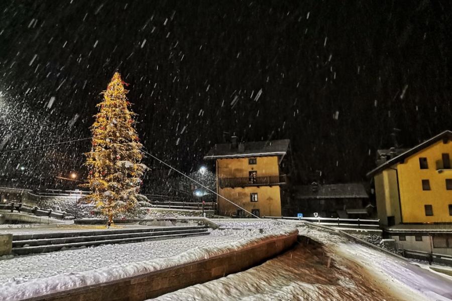 Accensione Albero di Natale