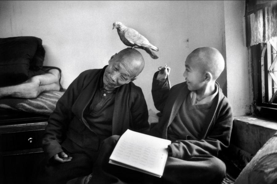 Martine Franck. Regarder les autres