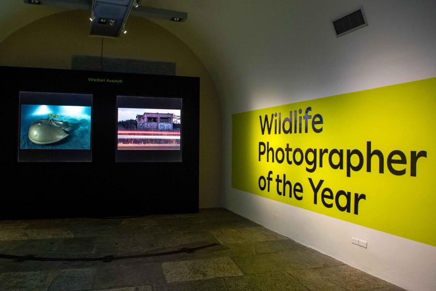 Conferenza: La fotografia naturalistica nelle aree protette