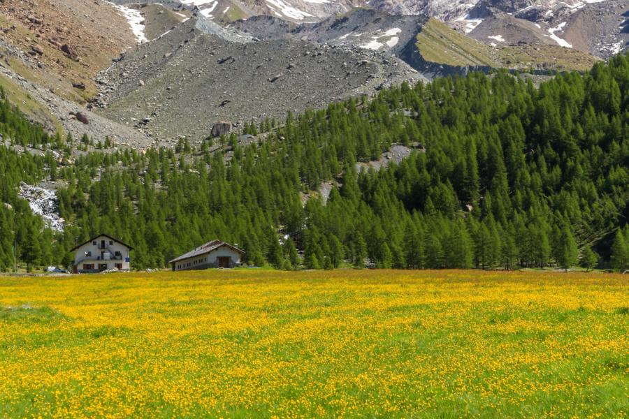 I ghiacciai: preziosi indicatori del cambiamento climatico