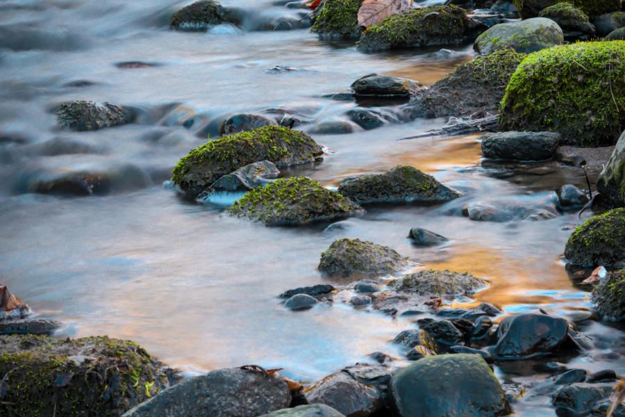 Acqua Viva: le Vie dell'Acqua dalle Alpi all'Universo