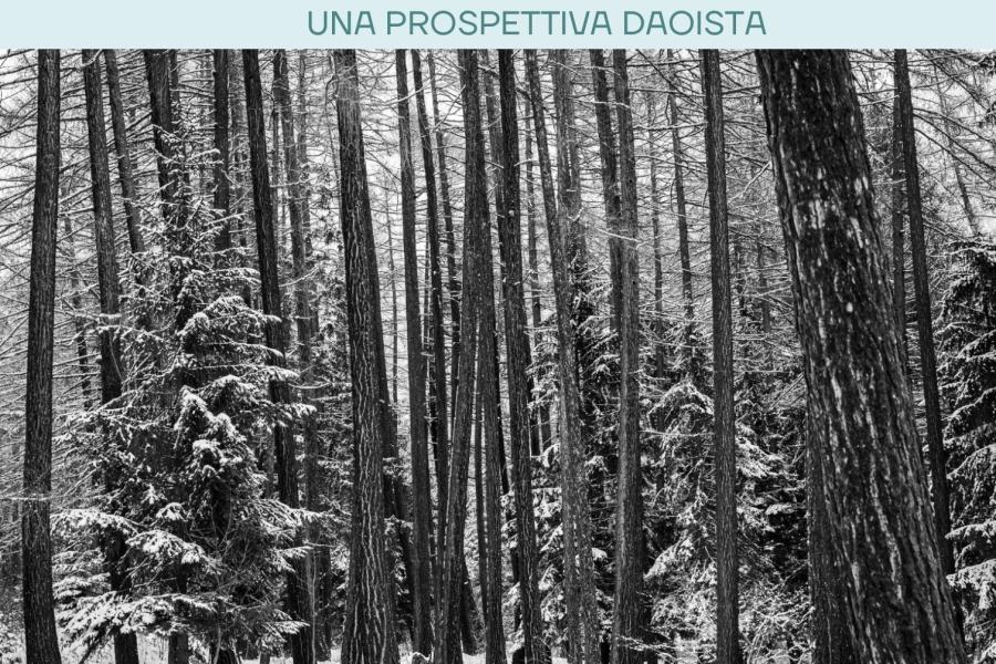 L'inverno e i suoi elementi – Mostra fotografica