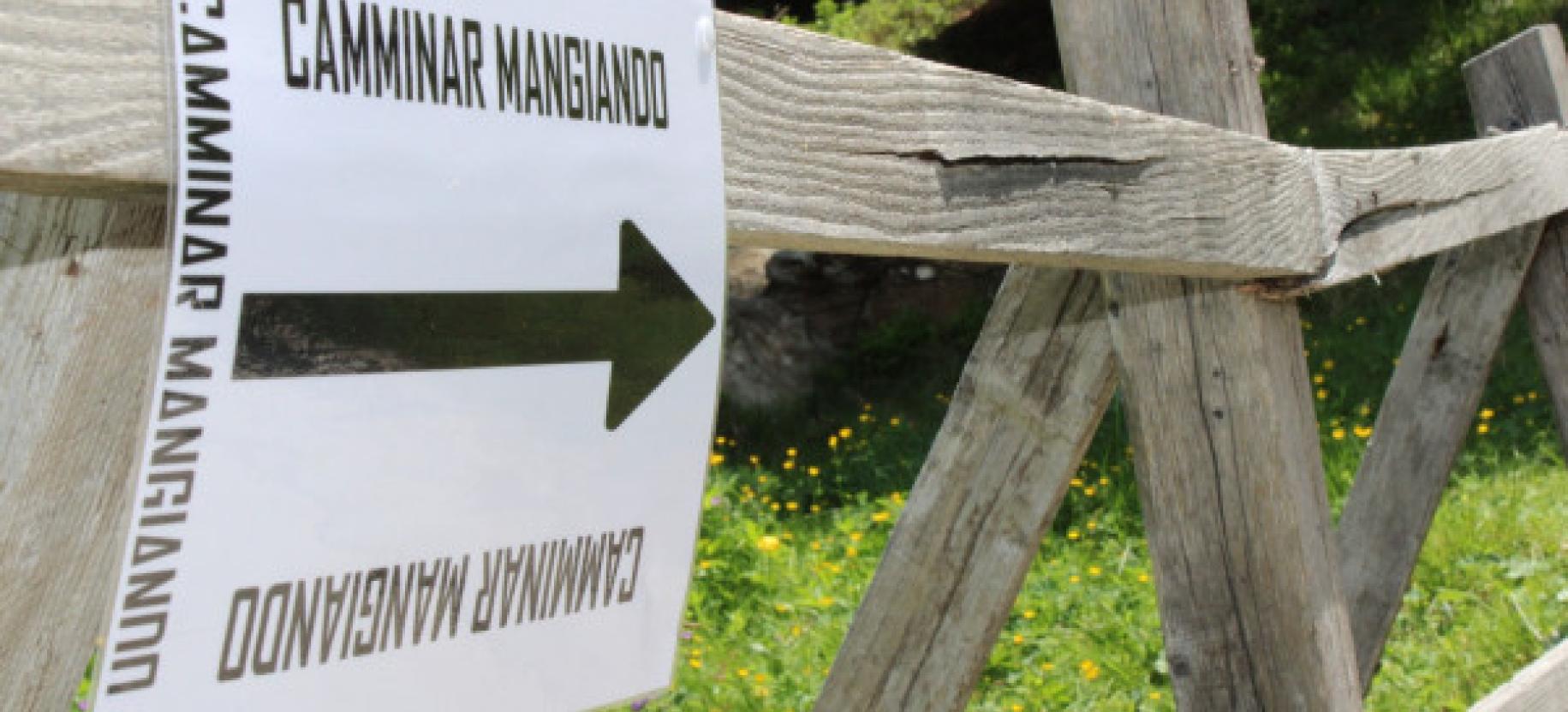 Camminar Mangiando - ANNULLATO