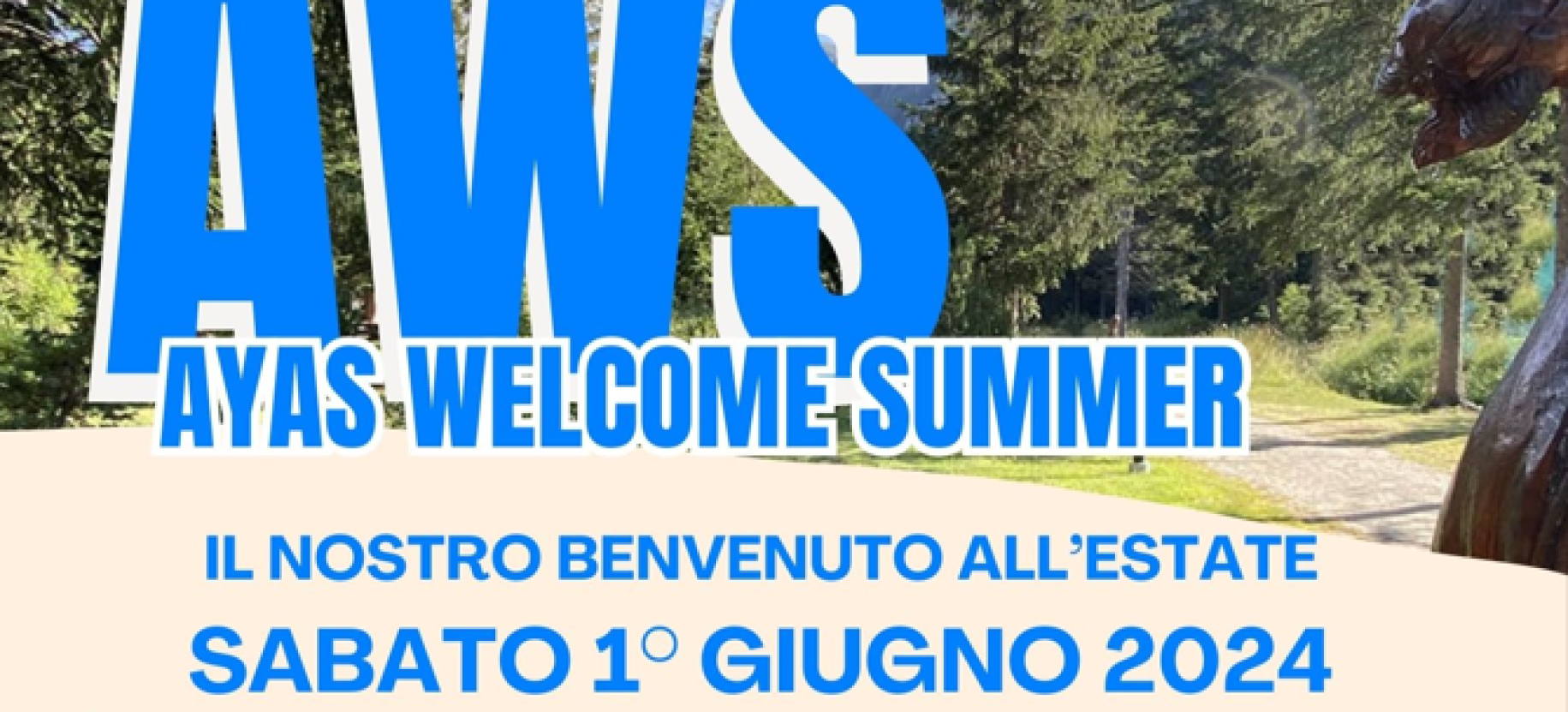 AWS - Ayas Welcome Summer