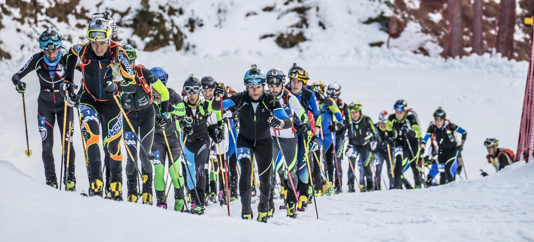 MonterosaSkiAlp