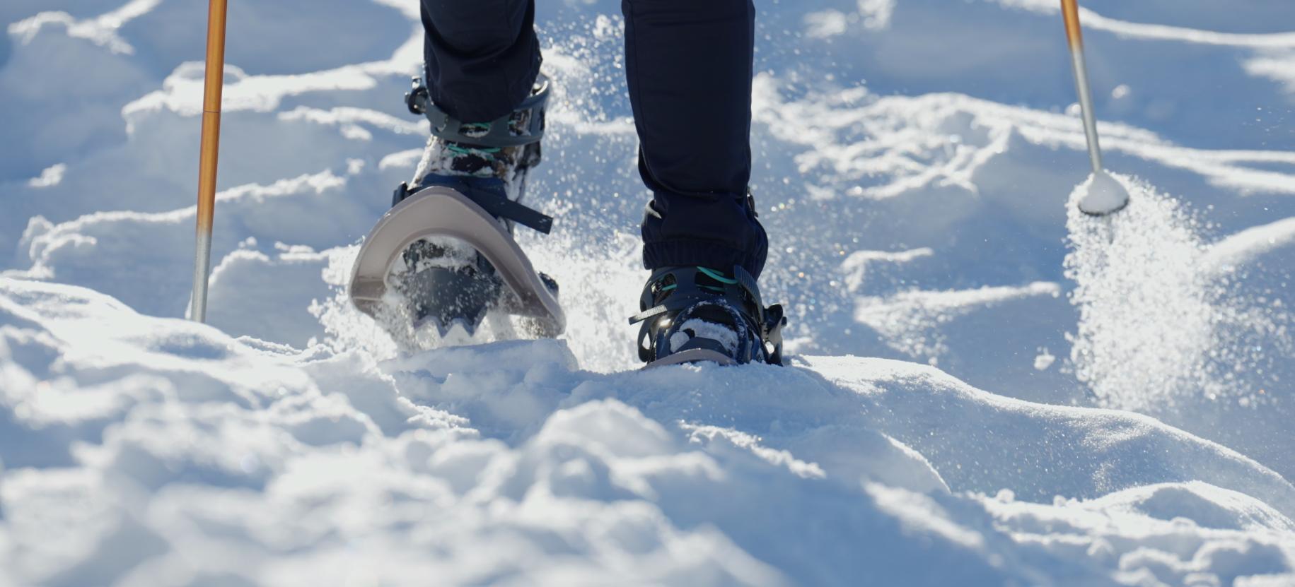 Ciaspole nella neve fresca