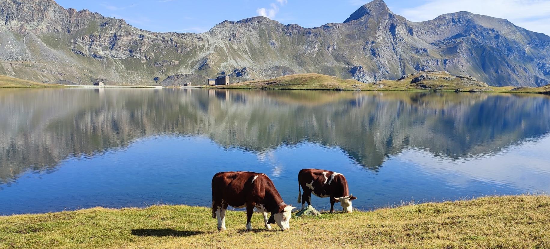 Lago Rifugio Miserin