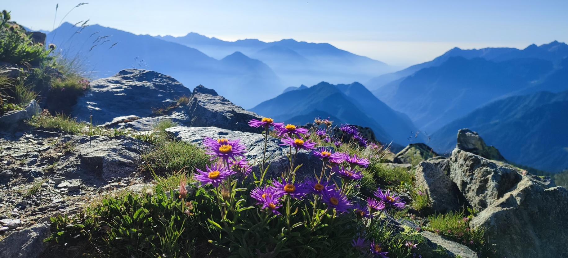 Cima Piana