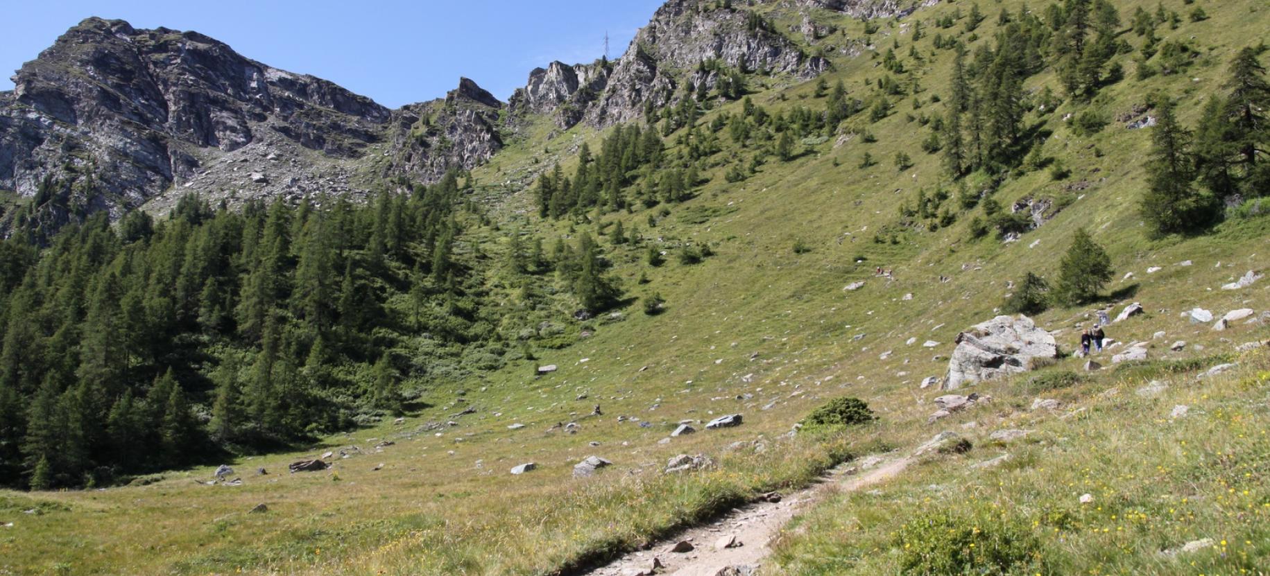 Il Pian Portola e il traverso del sentiero verso il Colle Portola