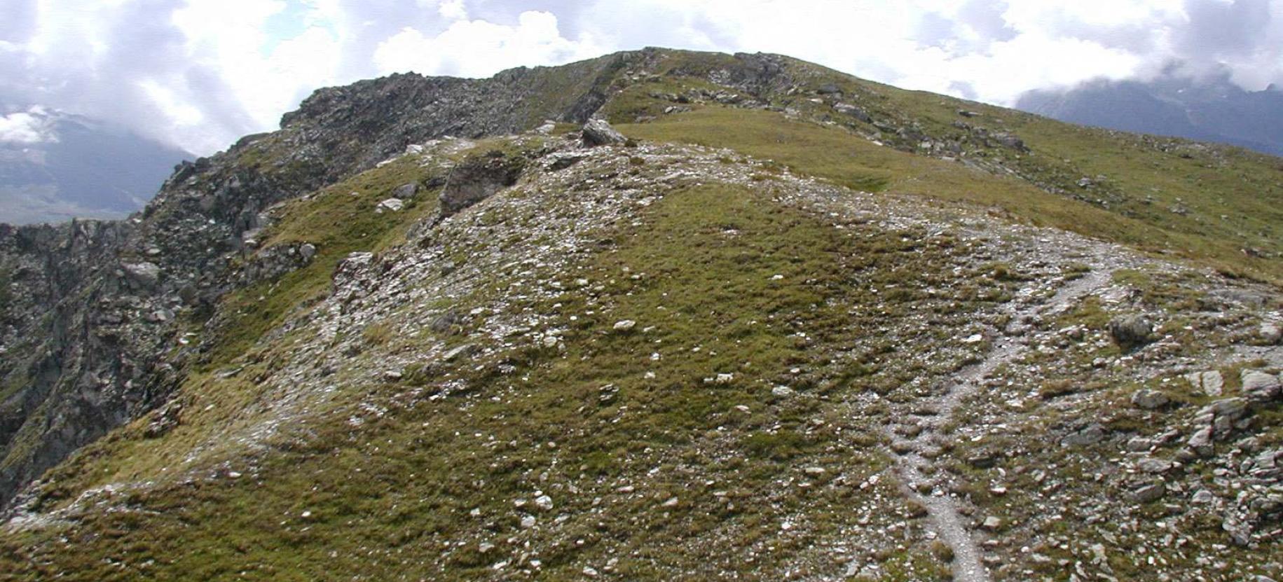 Prima parte del sentiero dal Colle Vascoccia al M. Facciabella.