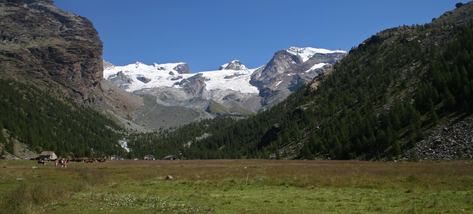 Panorama sul Rosa dall’estremità sud del Pian di Verra Inferiore.