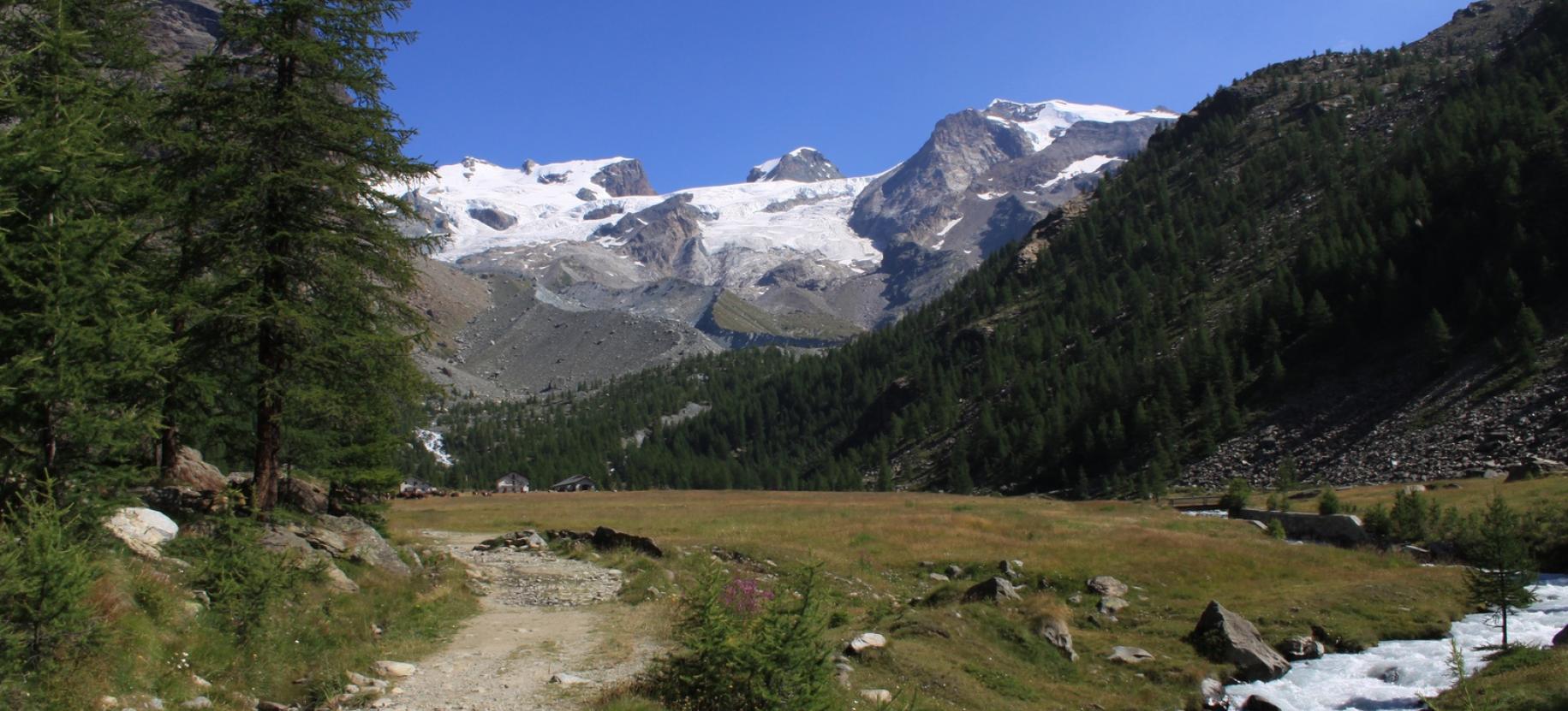 Panorama sul Rosa dall’estremità sud del Pian di Verra Inferiore.