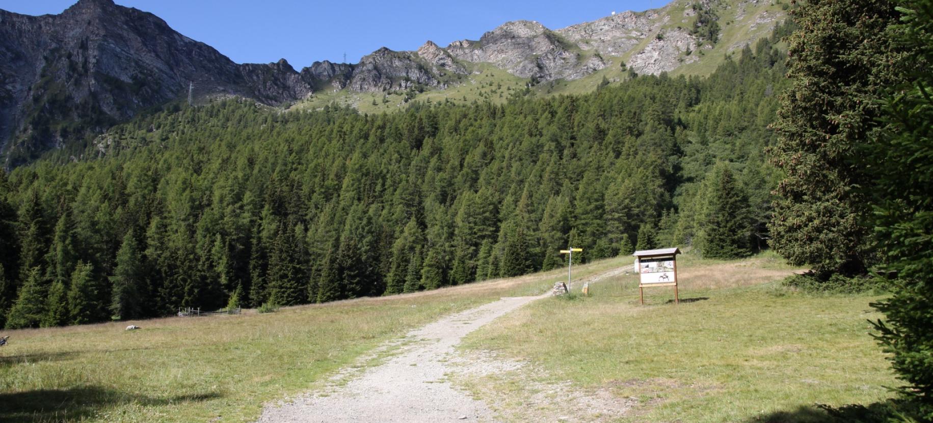 Il Pian delle Signore e il Colle Portola sullo sfondo.