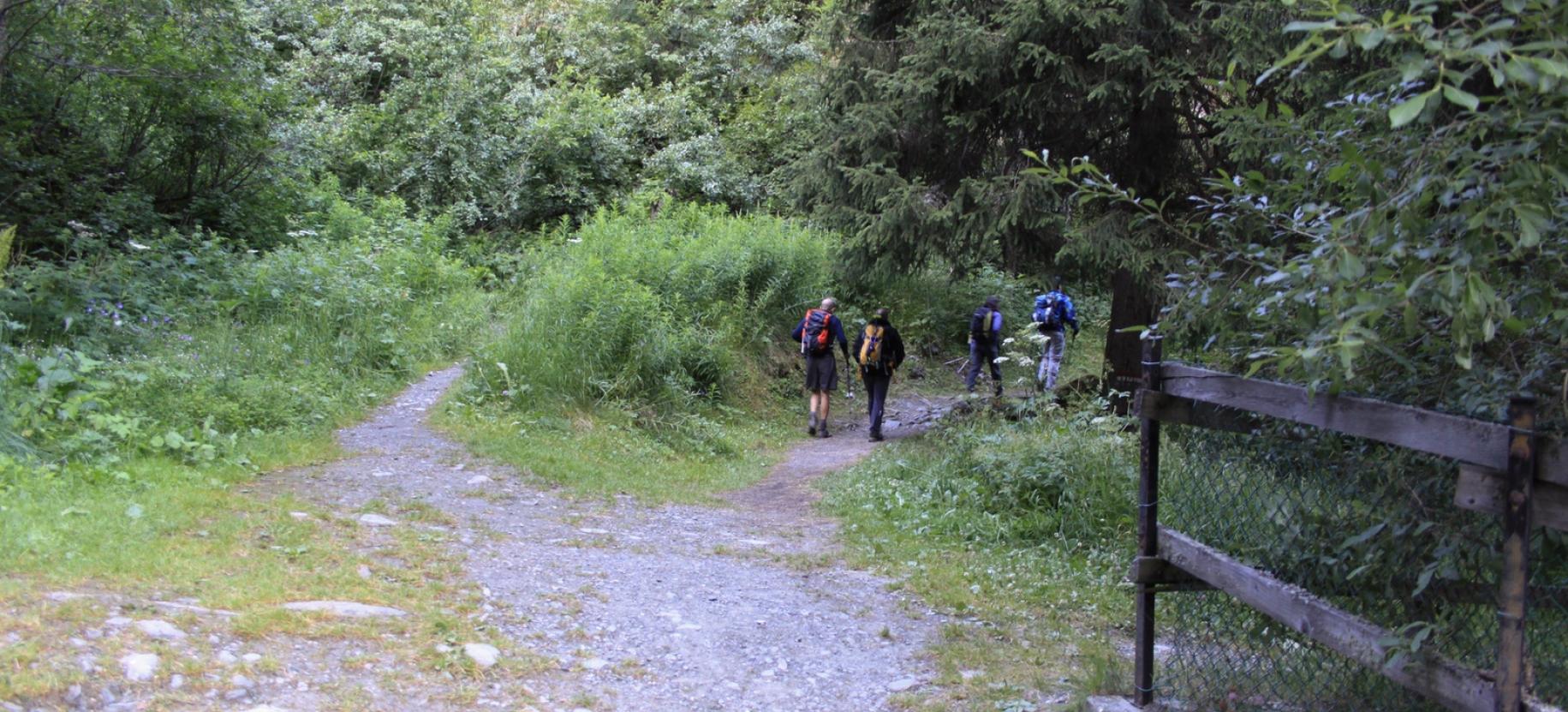 Il bivio all’inizio del sentiero (il ramo a sinistra porta alla cascata).