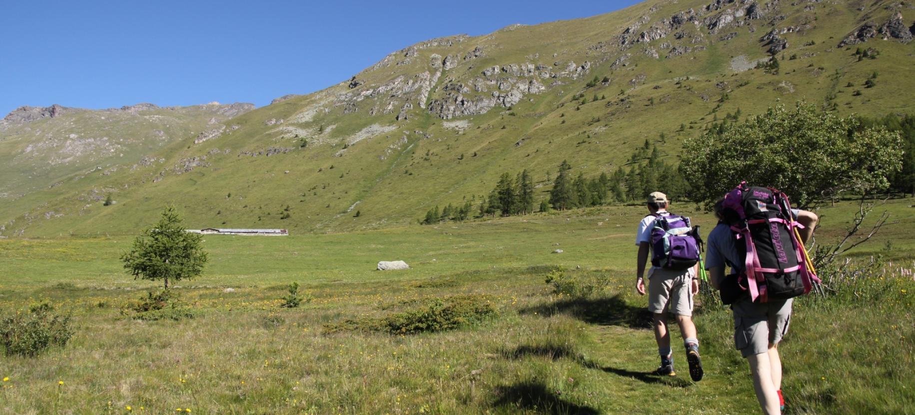 La salita verso l’Alpe Metsan (a sinistra nella foto).