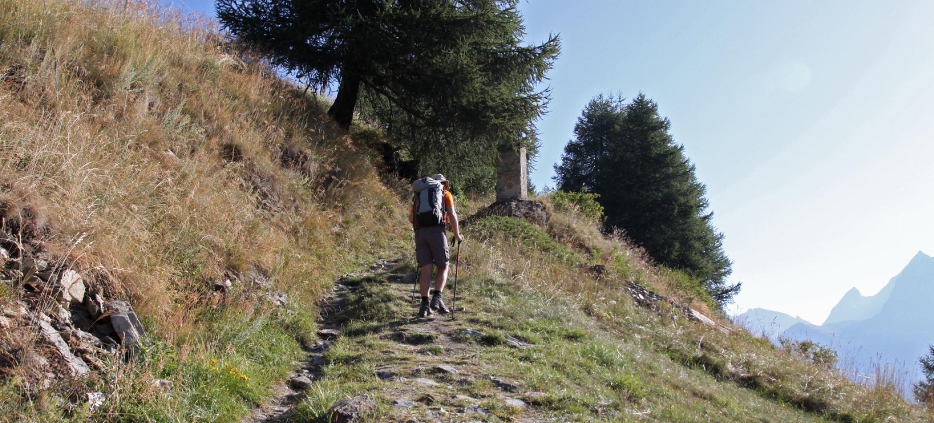 La salita verso la Ca’ Zena.