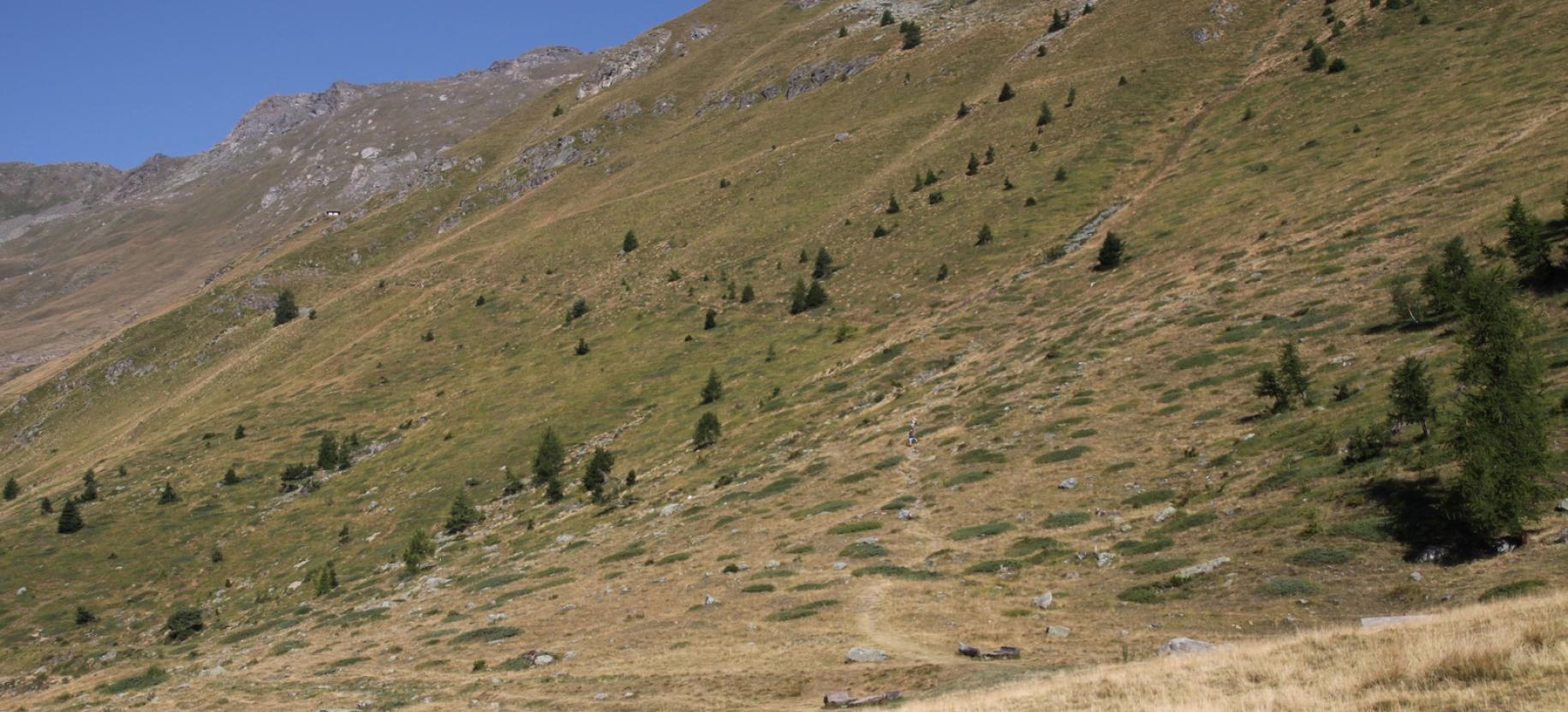 Dall’Alpe Metsan, l’inizio del sentiero verso l’Alpe Vascoccia.