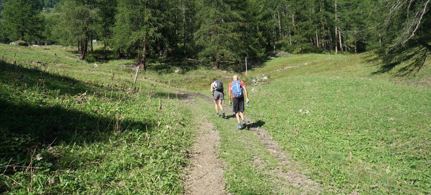 In questa radura si sale sul sentiero a destra.