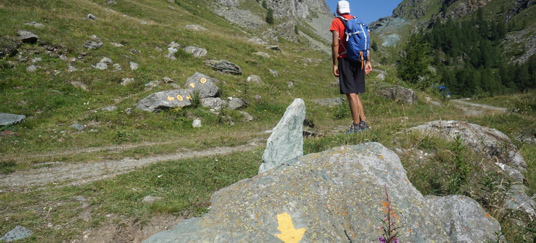 Attraversamento della strada.