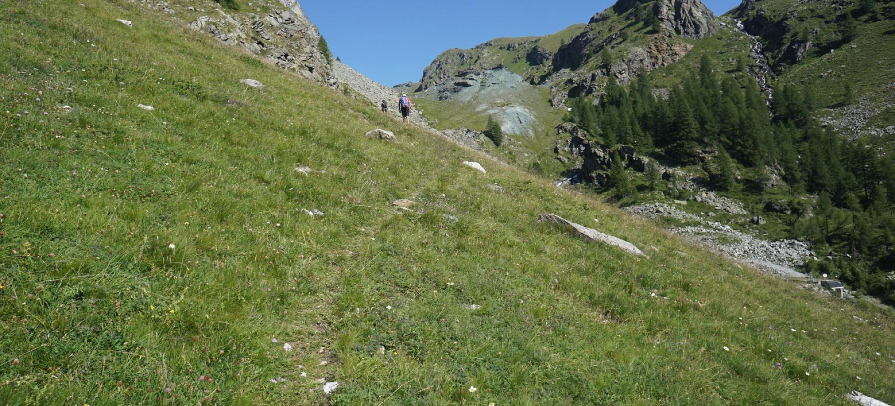 Il sentiero 5A lungo il Vallone di Cortot.