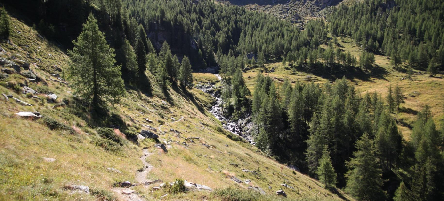 Discesa verso il torrente Cunéaz.