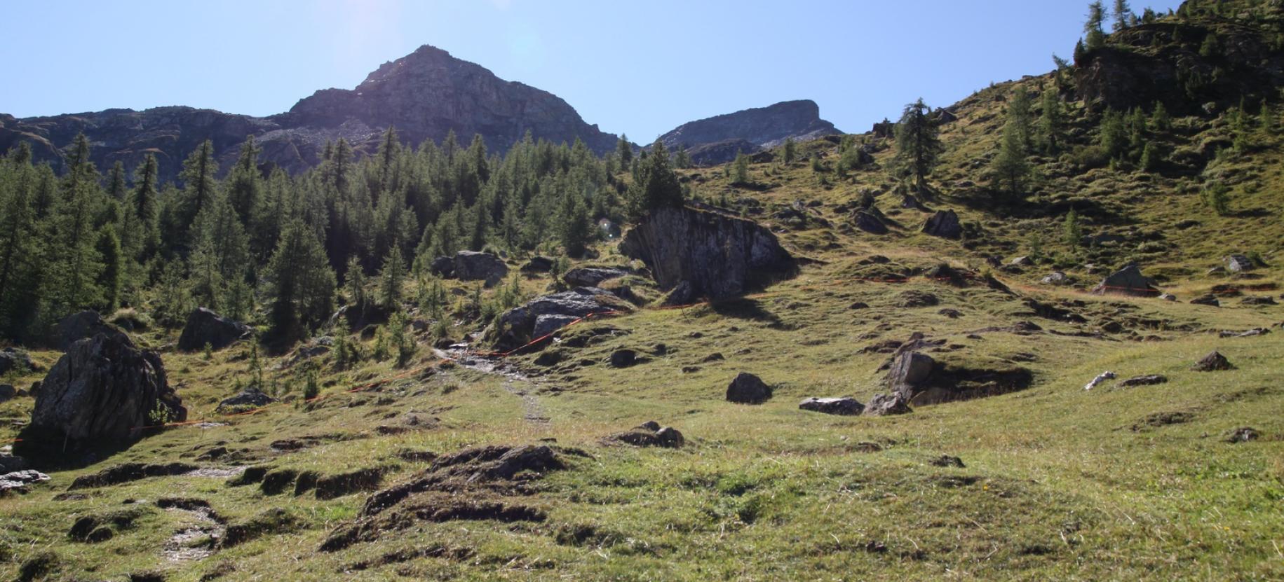 Salita verso l’Alpe Pian Long.