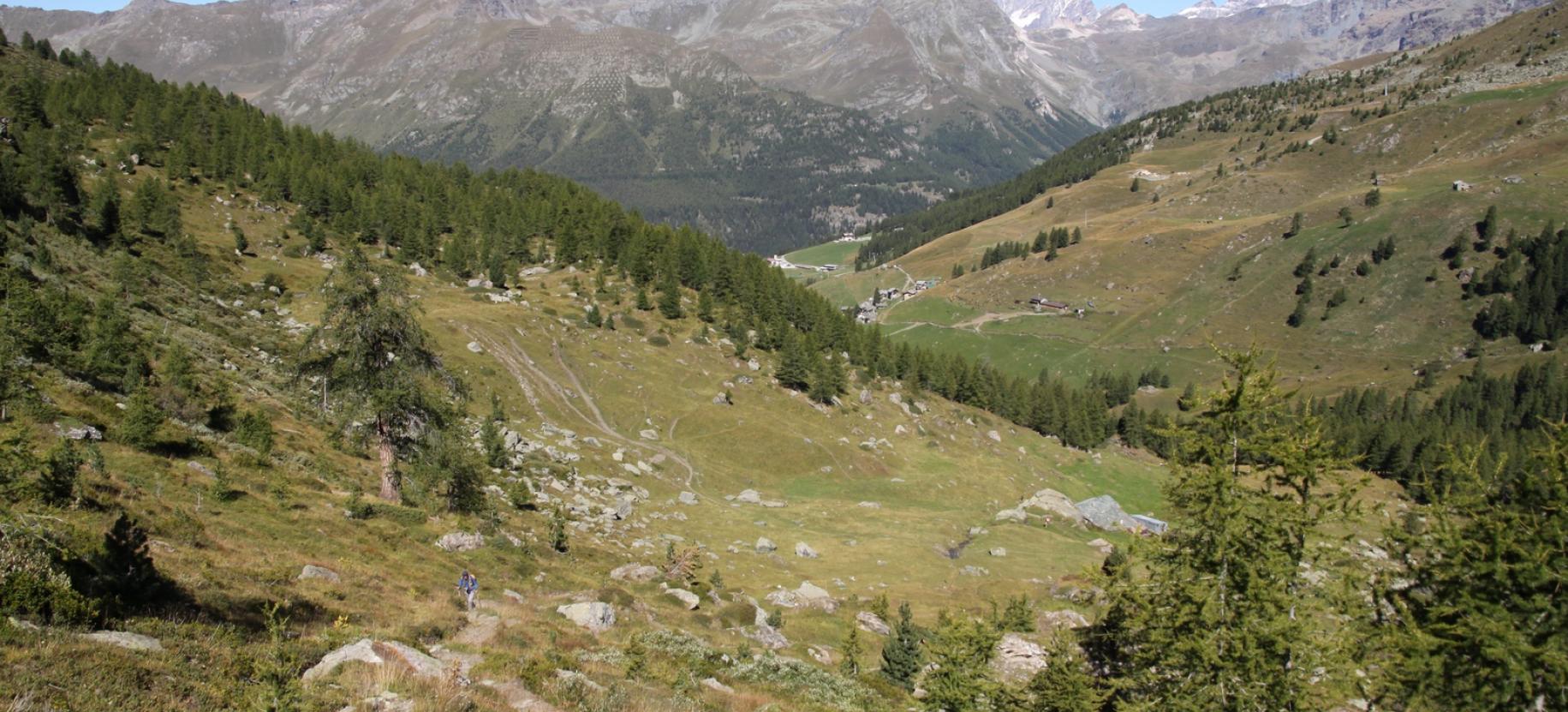 Panorama sul Vallone di Cunéaz da oltre Pian Long.