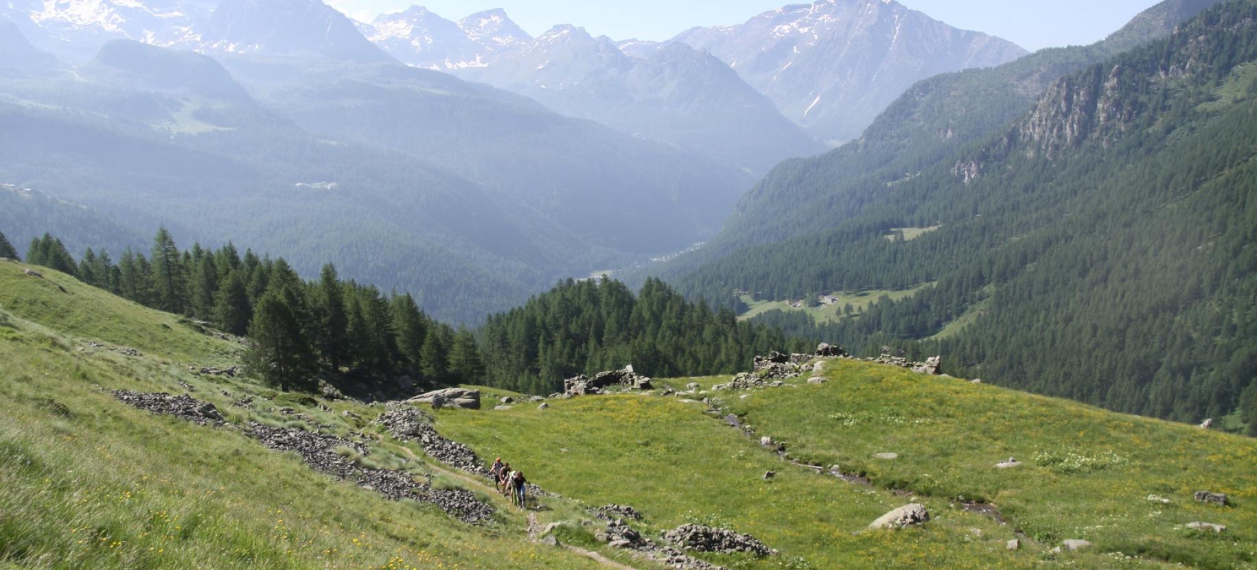 Discesa verso l’Alpe Ventina.