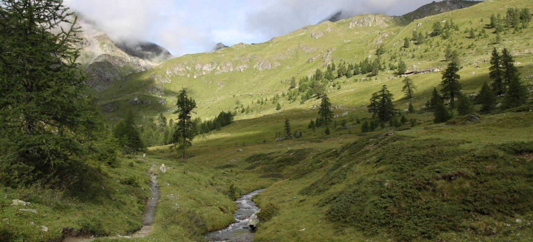 Il sentiero sulla destra orografica del Torrente di Nana.