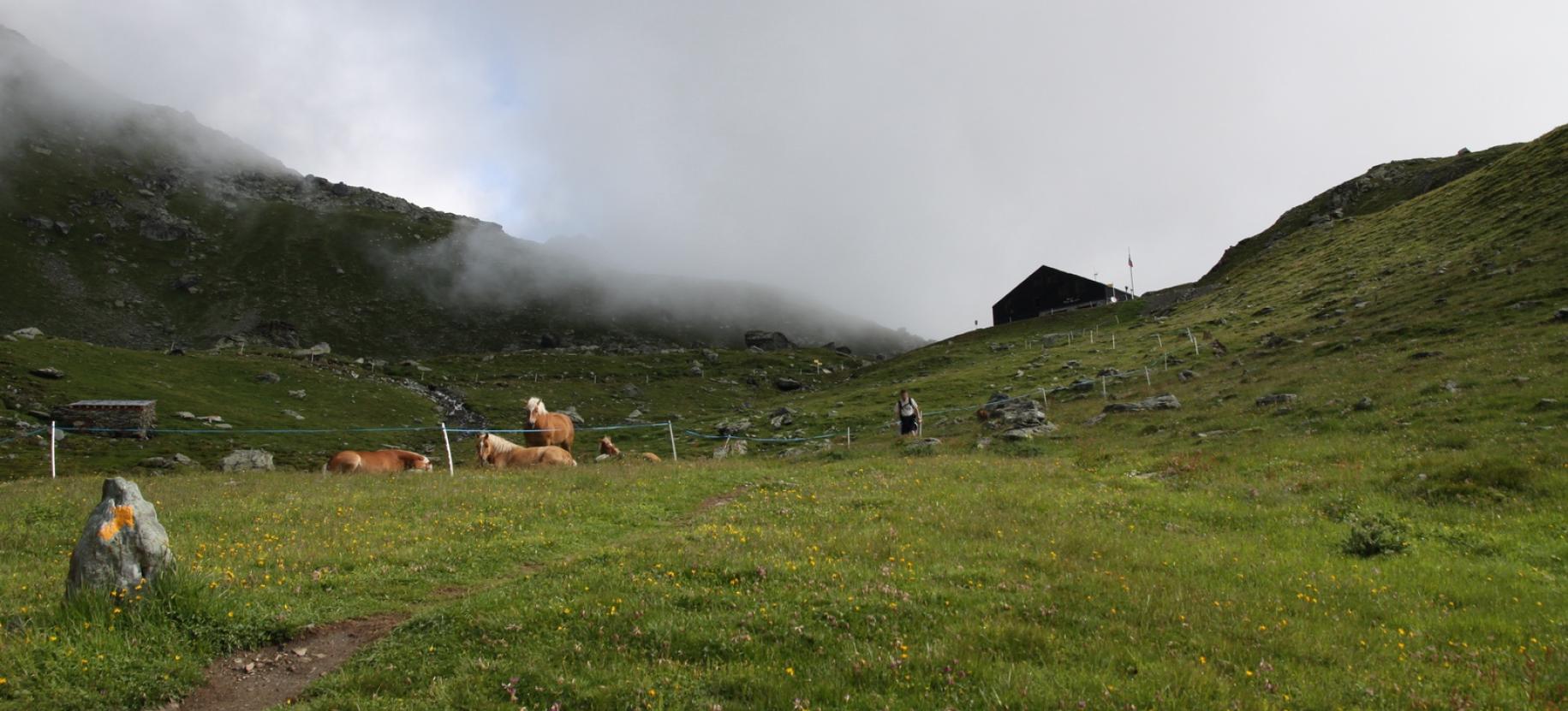 I pascoli appena sotto il rifugio.