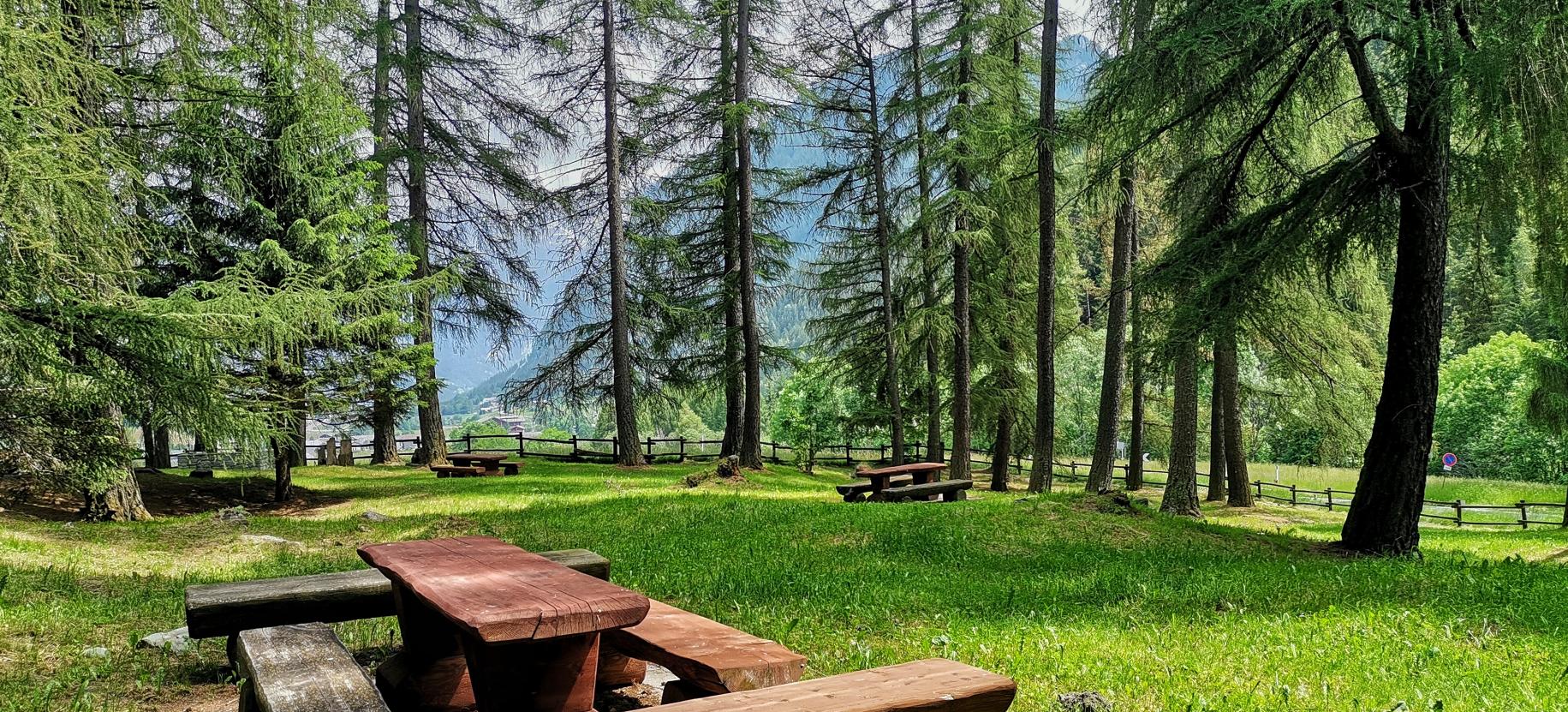 Area Pic Nic