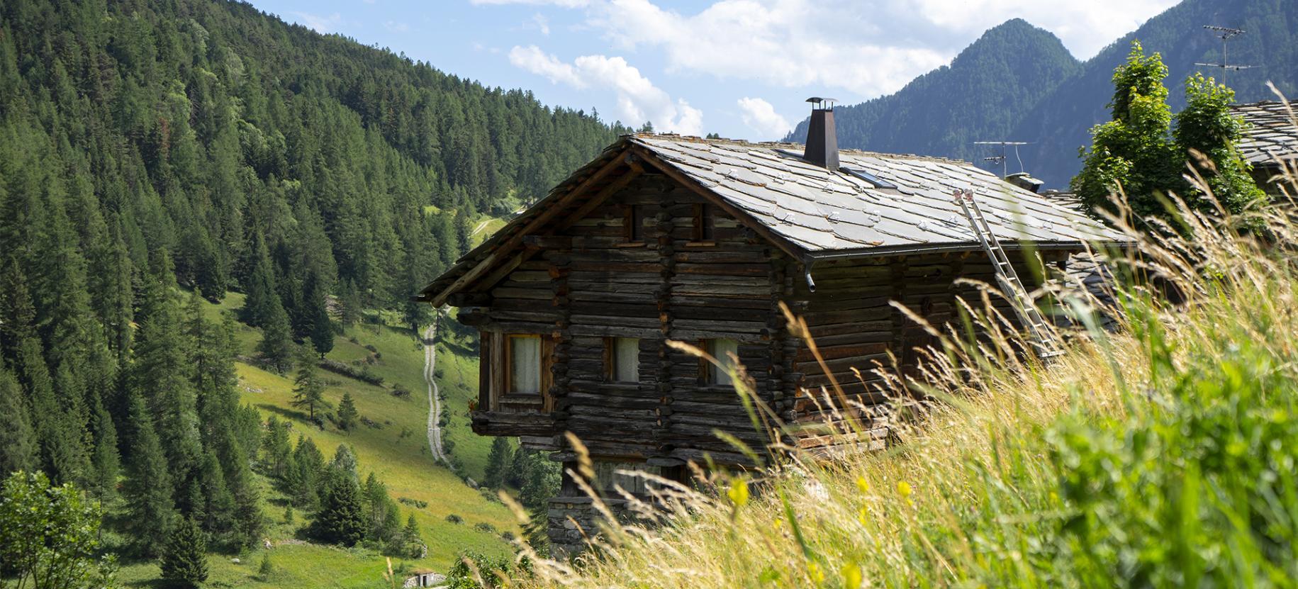 Architettura e natura, uno sguardo verso Periasc