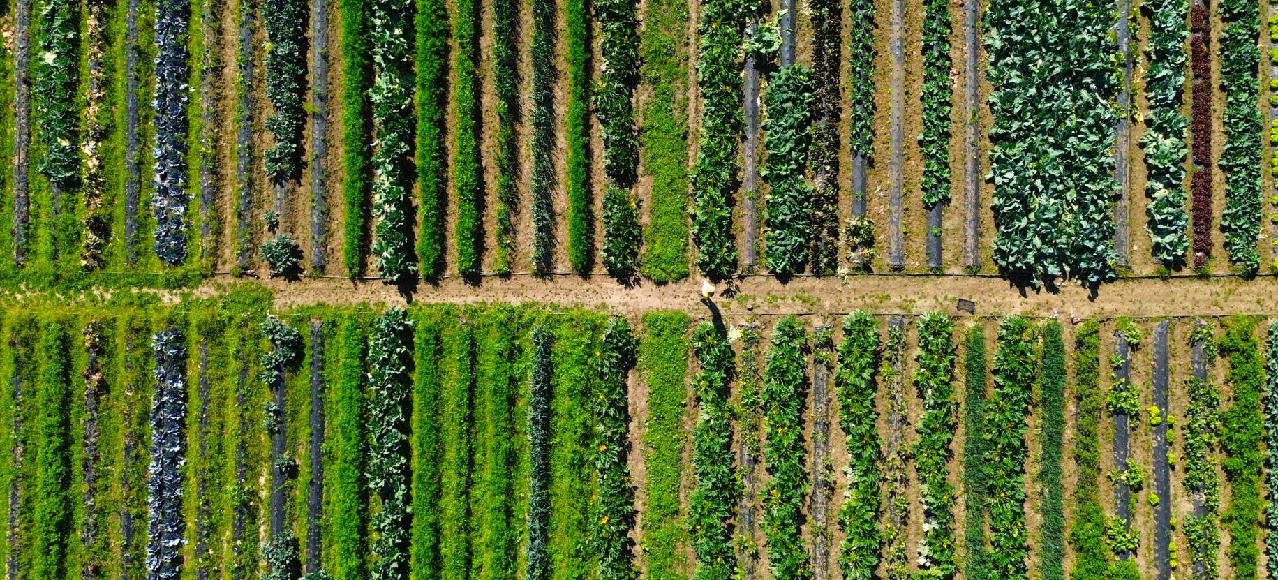 Paysage à Manger