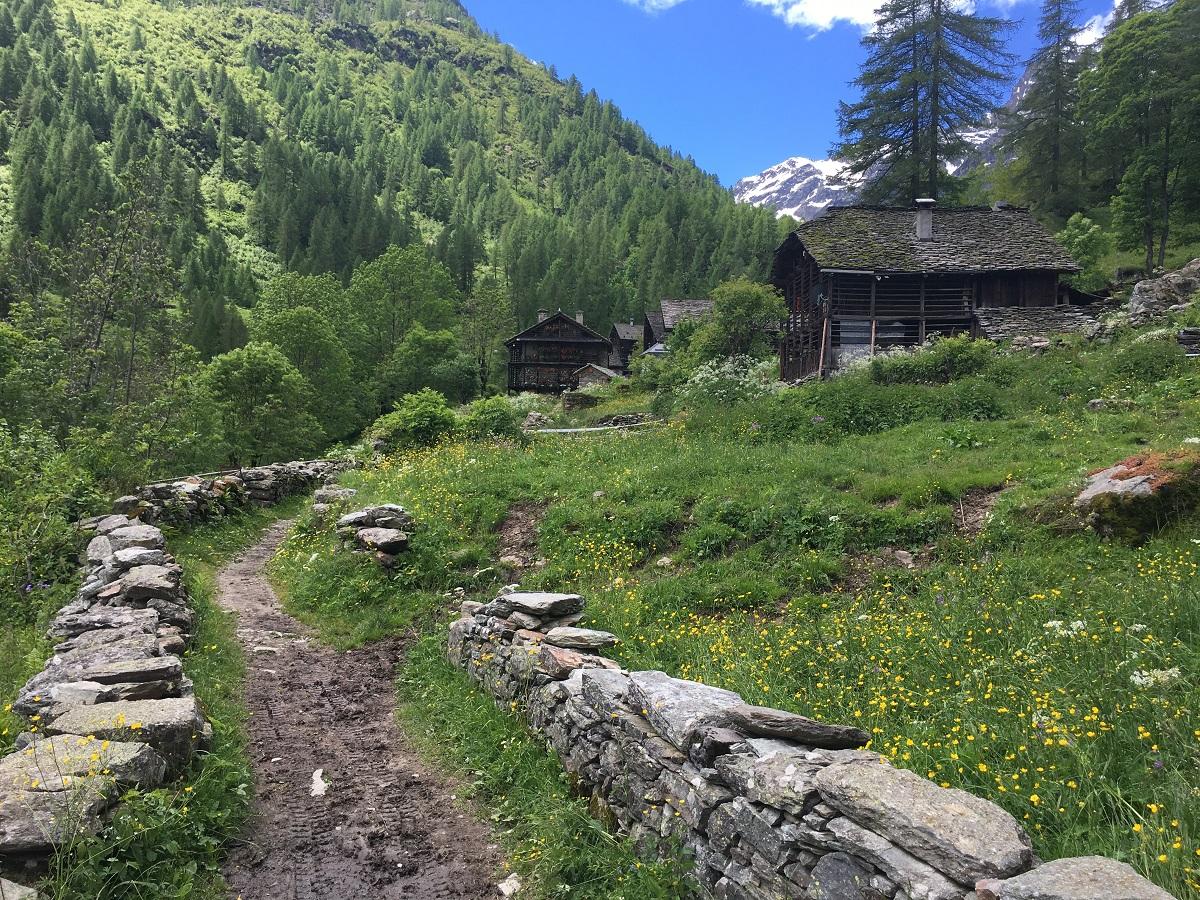 Sunny Val Vogna to Lake La Peccia