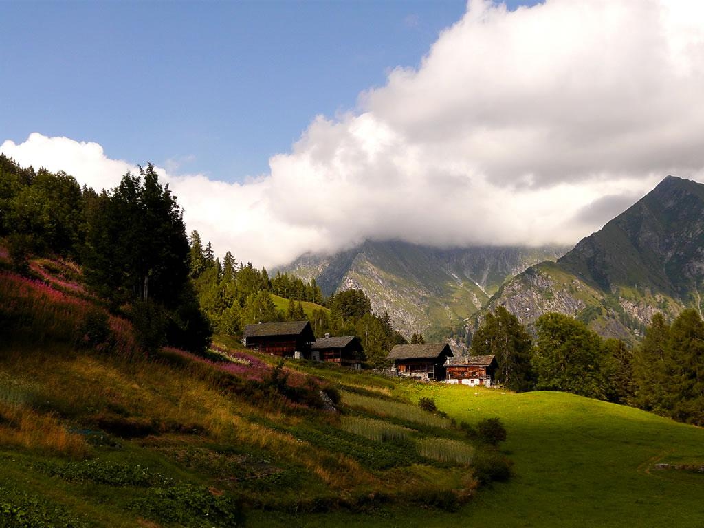 Les alpages Walser du Val d’Otro