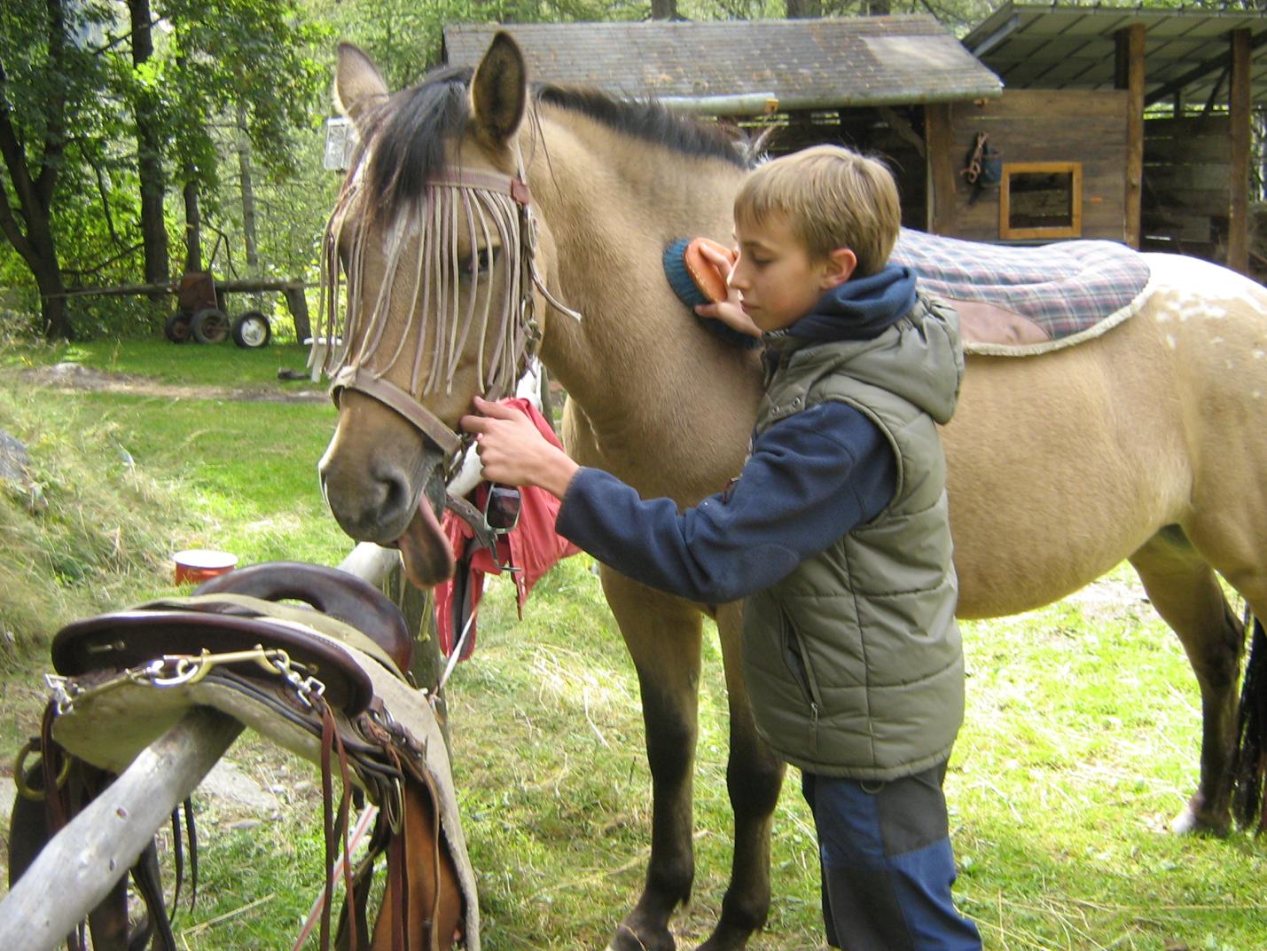 BRUSSON LES GUILLATES RIDING SCHOOL