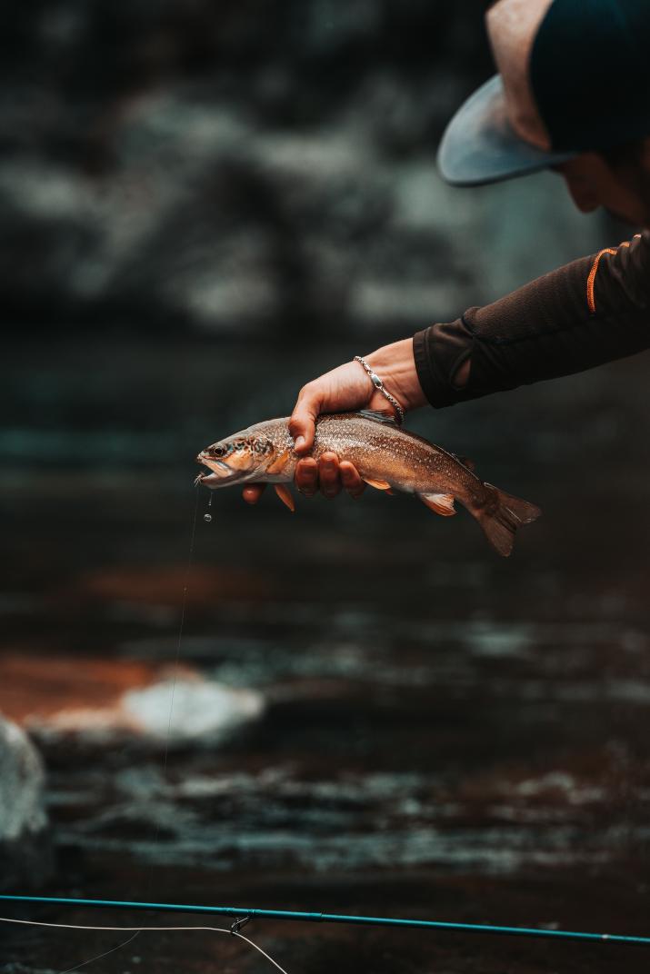 Pesca in Valsesia