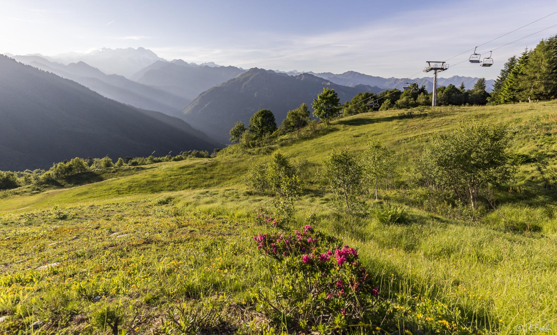 Alpe di Mera