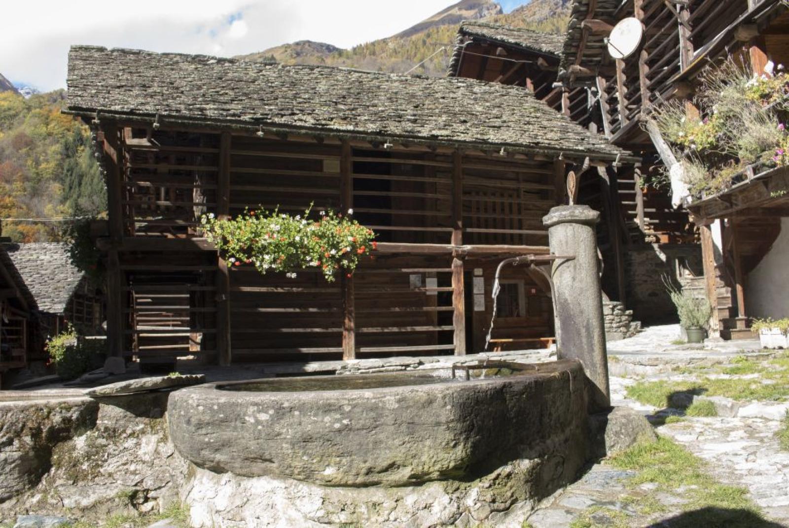 IL MUSEO WALSER