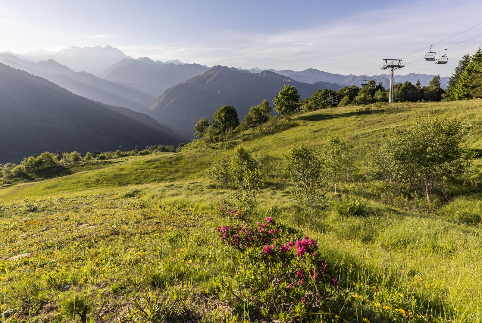 Alpe di Mera