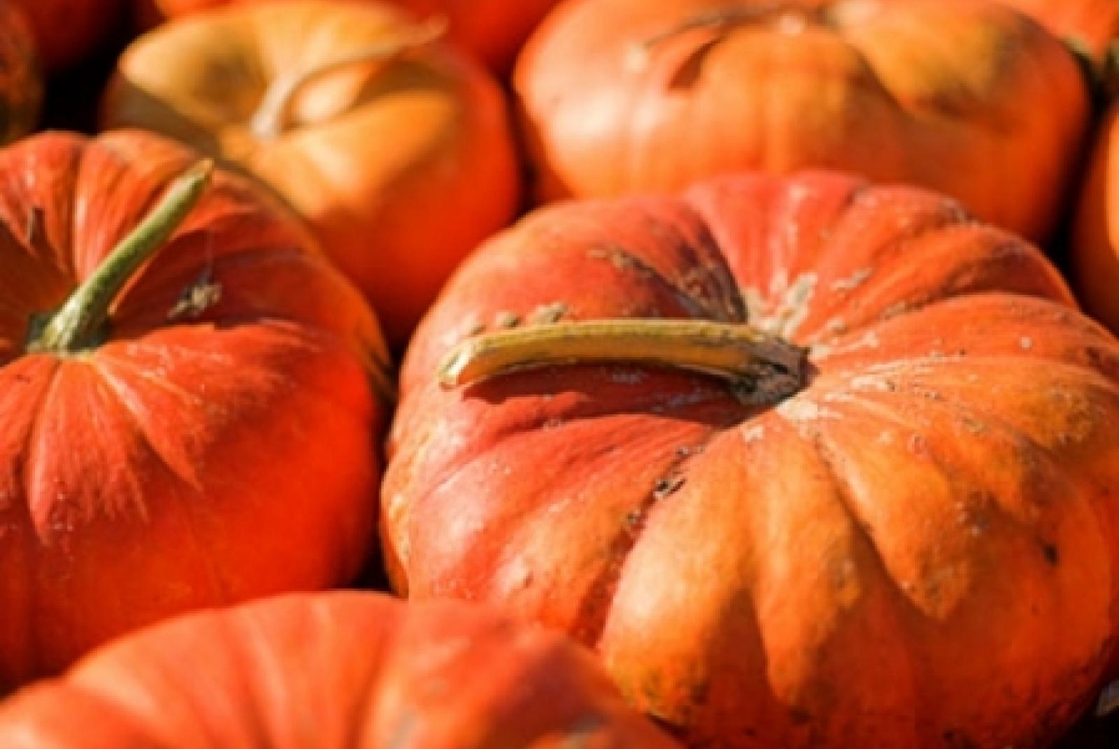 La Zucca...dall'orto alla tavola Foire de la citrouille… du jardin potager à la table