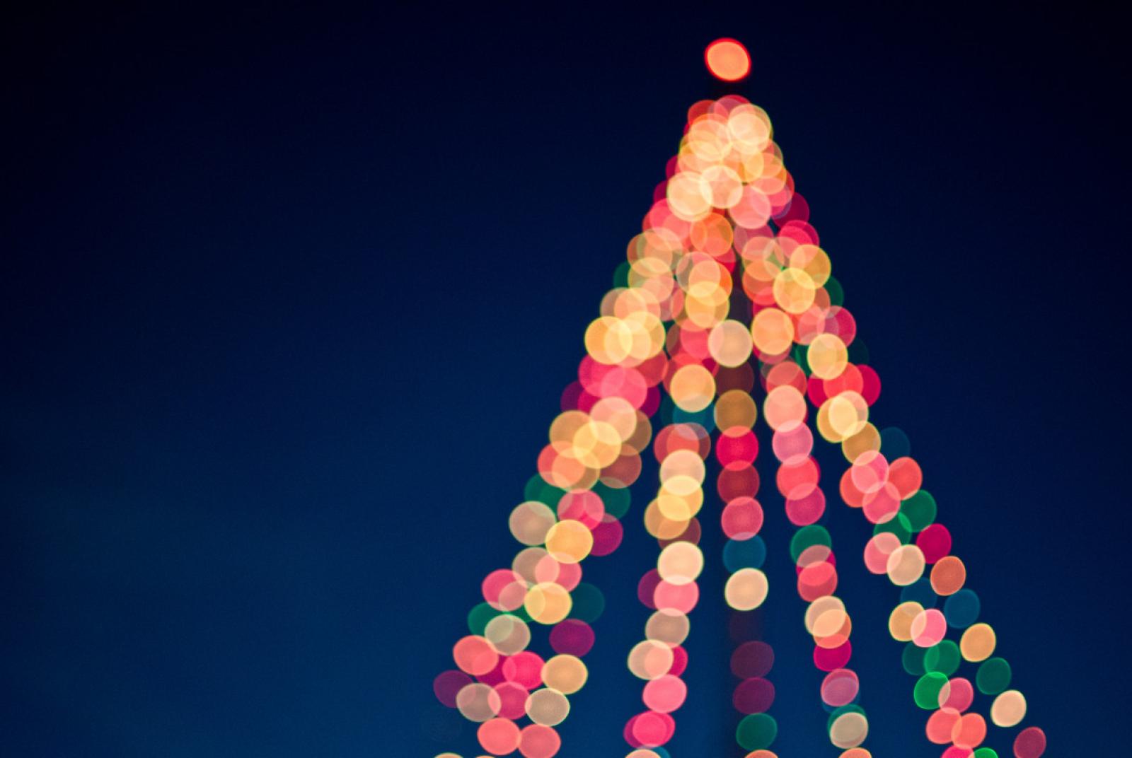Accensione Accensione dell'albero di Natale