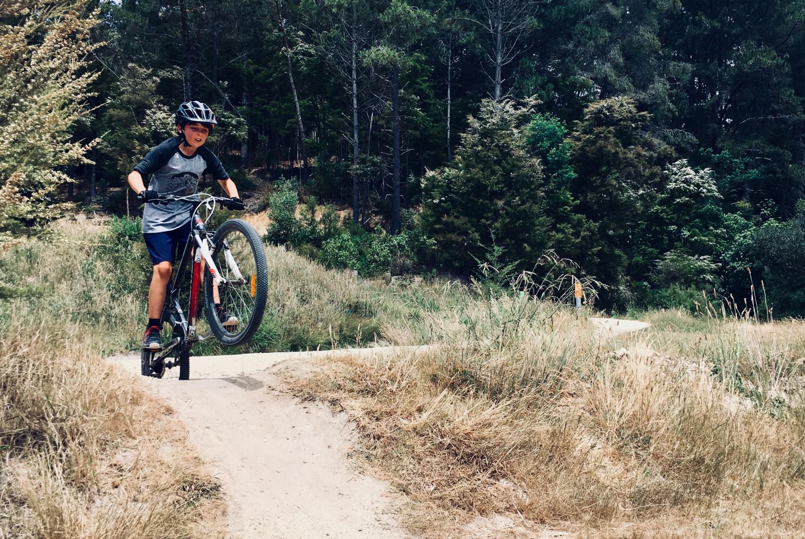 mountain bike 