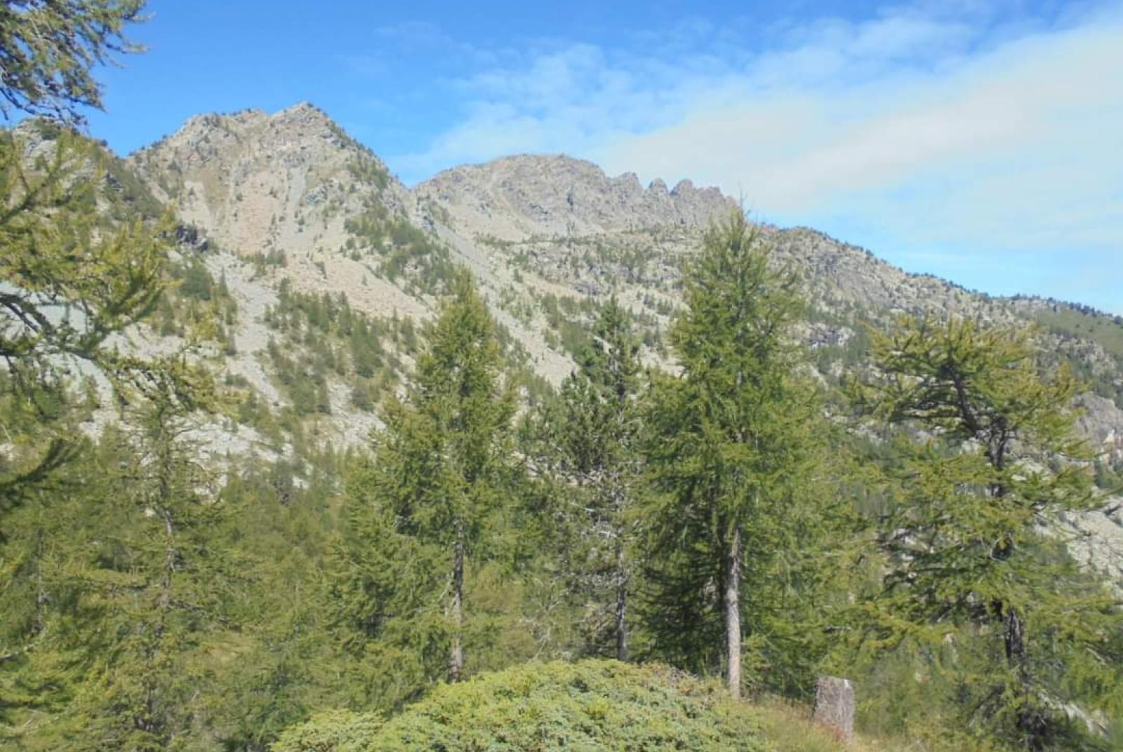 Menhir